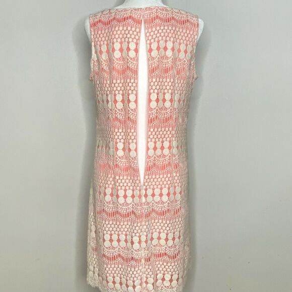 Eliza J Lace Sleeveless Sheath Ivory/Coral Dress Size 10 - Picture 4 of 8